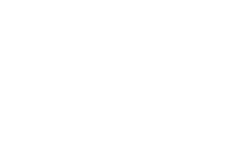 Разработка сайта для бонусной системы «Система Глобус»